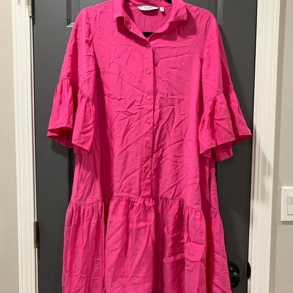 Pink Ruffle Sleeve Dress - Picture 1 of 5